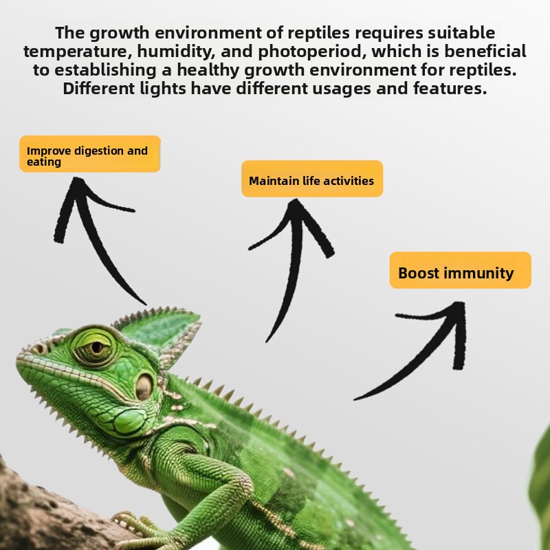 Lámpara de sol UVA para reptil - Gecko Lighting & Decor reseña y precio